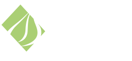 titulo